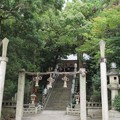 Photos: 枚岡神社（東大阪市）