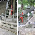 Photos: 枚岡神社（東大阪市）神橋 ・神使