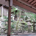 Photos: 枚岡神社（東大阪市）御神木