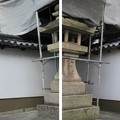 感田神社（貝塚市）裏神門狛犬