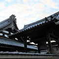 Photos: 紀州街道（大阪府岸和田市）円成寺