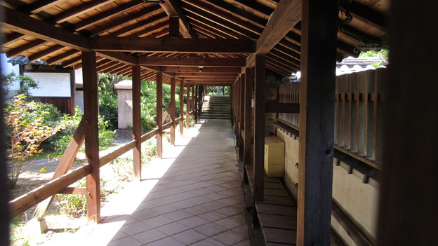 南宗寺（堺市堺区）仏殿前回廊
