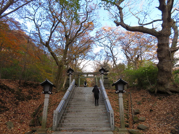 那須温泉神社（那須町）三の鳥居