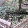 Photos: 興禅院（川口市）放生池
