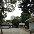 13.07.17.飯塚氷川神社（川口市）境内・公園
