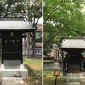 Photos: 川口神社（埼玉県）金刀比羅宮・八雲社