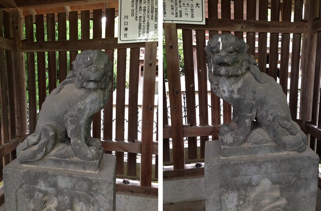 川口神社（埼玉県）狛犬