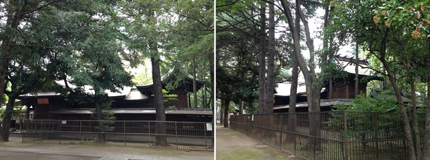 川口神社（埼玉県）社殿