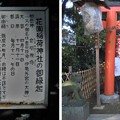 Photos: 10.11.11.花園稲荷神社（台東区。都営上野恩賜公園）