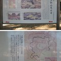 Photos: 10.11.11.寛永寺（台東区）