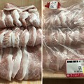 Photos: 広島「瀬戸のもち豚 せと姫」豚トロ