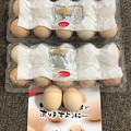 Photos: 香川烏骨鶏のたまご