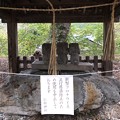 Photos: 仁科神社（仁科城・森城。大町市）