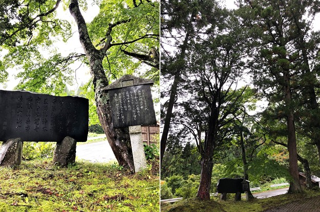十二神社（長野市鬼無里）伝 船繋ぎの樹