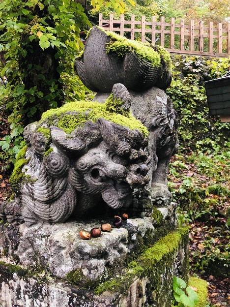 戸隠神社（奥社・九頭龍社）狛犬