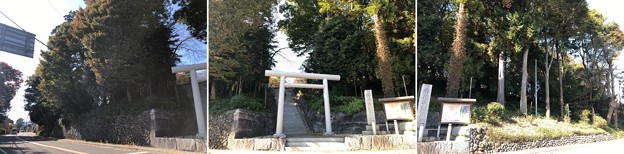 Photos: 二宮神社（あきる野市）東面