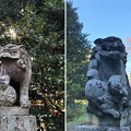Photos: 二宮神社（あきる野市）狛犬