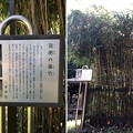 Photos: 二宮神社（あきる野市）篠竹