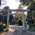 Photos: 二宮神社（あきる野市）北鳥居