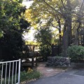 二宮神社（あきる野市）お池