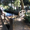 Photos: 二宮神社（あきる野市）お池