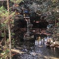 Photos: 二宮神社（あきる野市）お池