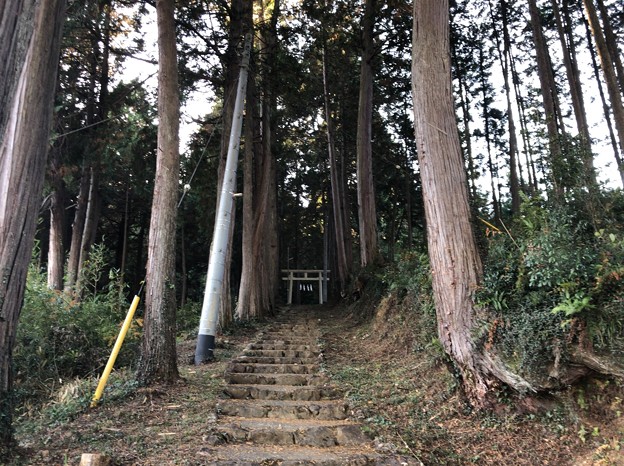 戸倉三島神社（あきる野市）
