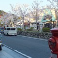 Photos: 鶴岡八幡宮前丸ポスト