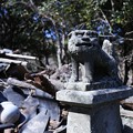 Photos: 神社の跡