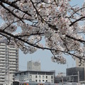 Photos: 大阪環状線　新たな時代へ♯２