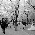 街角の花嫁