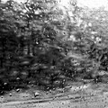 雨の車窓から