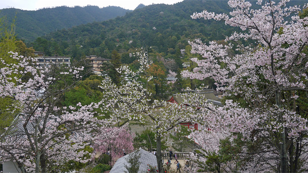 千畳閣からの眺め(3)