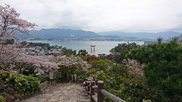 平松茶屋からの眺め(1)