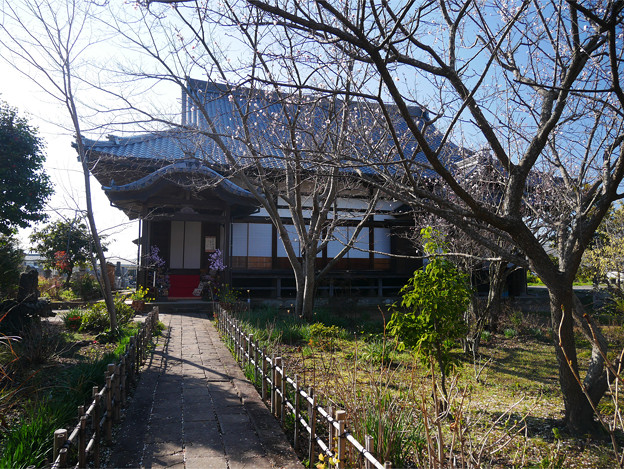 養徳寺 (3)