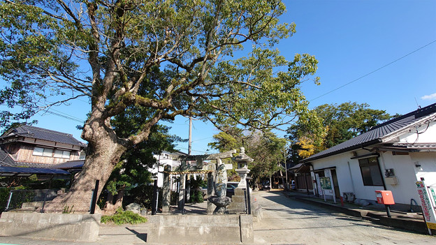 波多江地区の老松神社 (1)