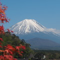 精進湖と紅葉と富士山