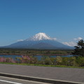 Photos: 精進湖と富士山