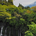 Photos: 白糸の滝と富士山