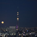 東京スカイツリーと満月　月の出（1）