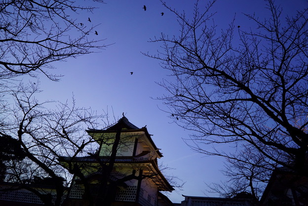 夕暮れの石川門とカラス