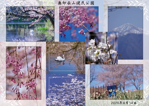 ４月の奥卯辰山健民公園