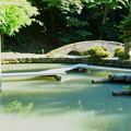 尾山神社　図月橋　庭園の池（1）