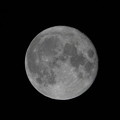 Photos: 満月　「スタージェンムーン（チョウザメの月）」