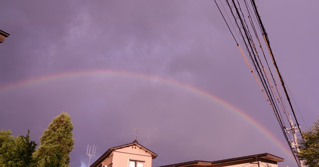 帰り道の大きな虹（1）