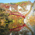 紅葉の中の赤い橋