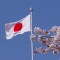 桜と日章旗と雲一つ無い青空と、何ていうのか日本的なやつっていうか、撮っているときはピントや国旗の向きに難儀したんですけれど