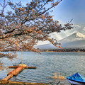 Photos: 桜と富士山