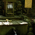 宝登山神社-7884
