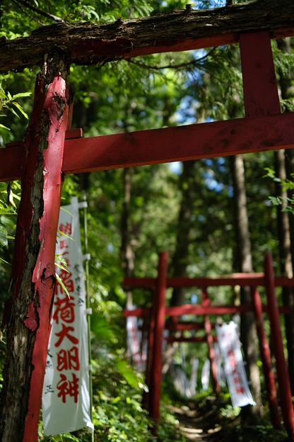 Photos: 上之台稲荷神社-7892